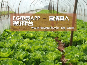 种植基地五