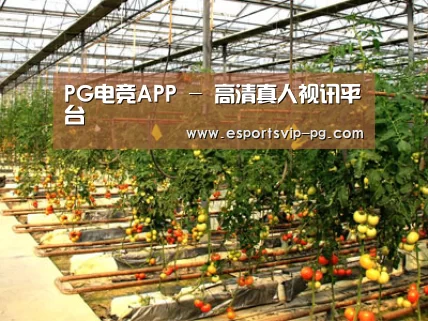 种植基地二
