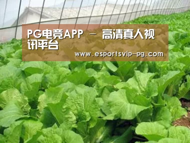 种植基地一