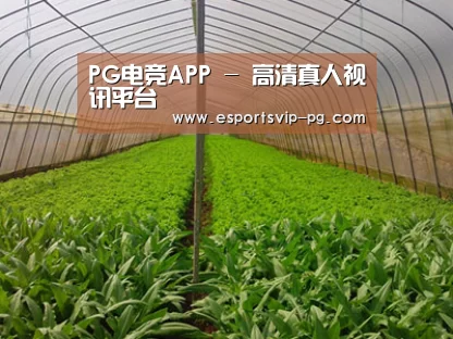 种植基地四