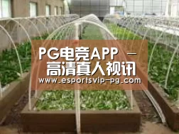 环境展示五