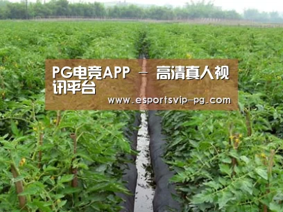 种植基地三