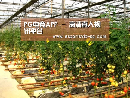 种植基地二(图1)