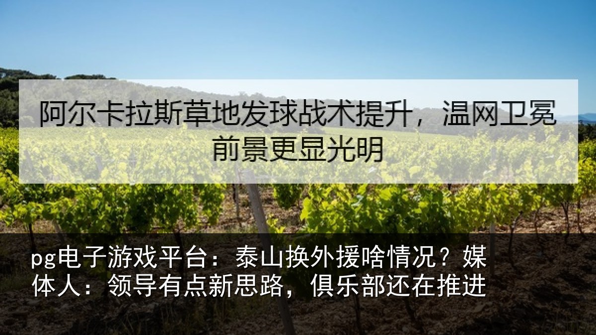 pg电子游戏平台:泰山换外援啥情况?媒体人:领导相关情况