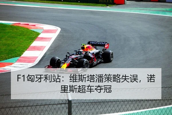 F1匈牙利站：维斯塔潘策略失误，诺里斯超车夺冠
