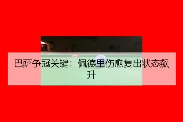 ba-sa-zheng-guan-guan-jian-pei-de-li-shang-yu-fu-chu-zhuang-tai-biao-sheng-3-406.jpg