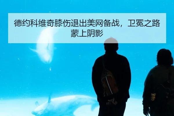 de-yue-ke-wei-qi-xi-shang-tui-chu-mei-wang-bei-zhan-wei-mian-zhi-lu-meng-shang-yin-ying-2-523.jpg