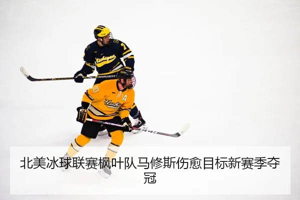 bei-mei-bing-qiu-lian-sai-feng-ye-dui-ma-xiu-si-shang-yu-mu-biao-xin-sai-ji-duo-guan-3-346.jpg
