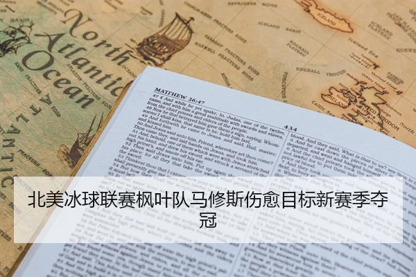 北美冰球联赛枫叶队马修斯伤愈目标新赛季夺冠