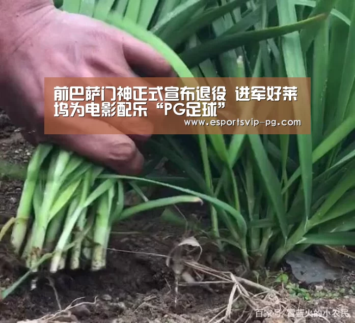 PG视讯